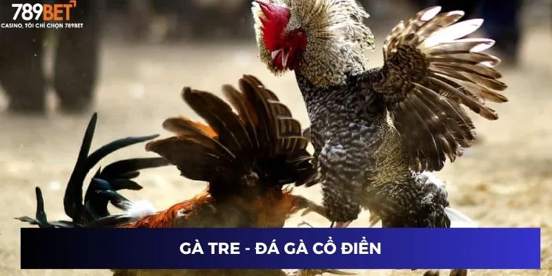 Gà tre