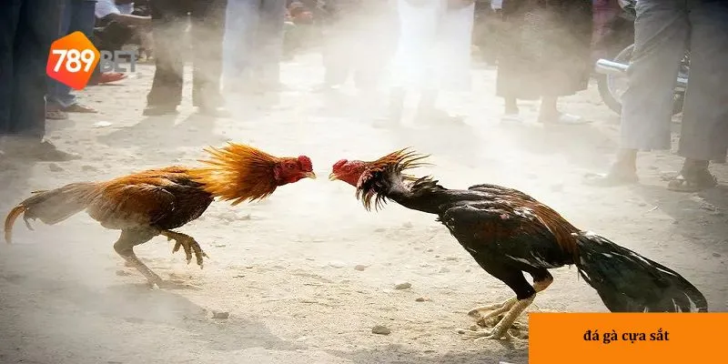 Đăng ký tài khoản nhanh chóng trên nền tảng 789BET.