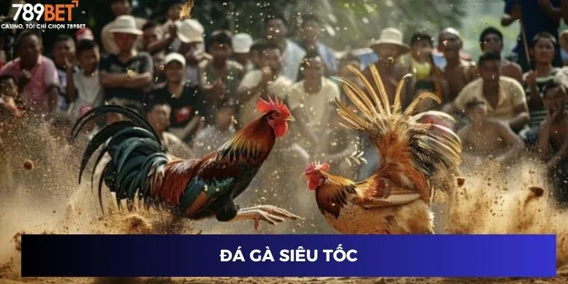 Top list loại hình đá gà phổ biến trên 789BET