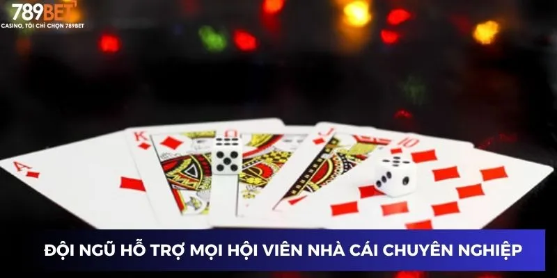 Đội ngũ hỗ trợ mọi hội viên nhà cái chuyên nghiệp