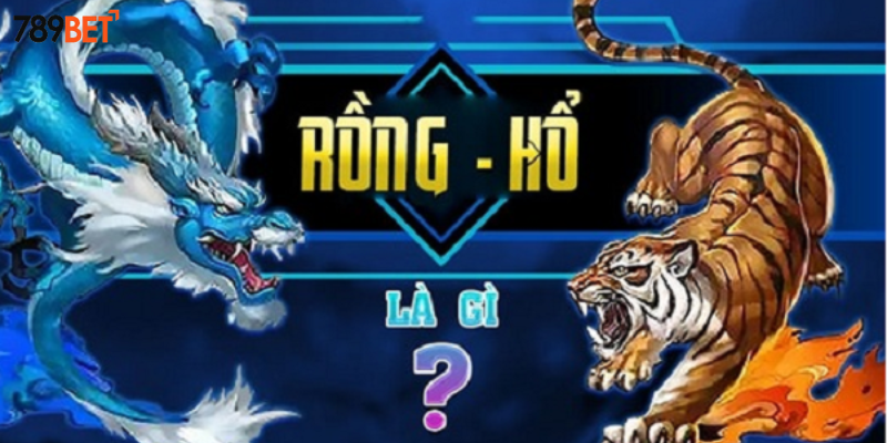 Quan sát và phân tích ván cược chính xác